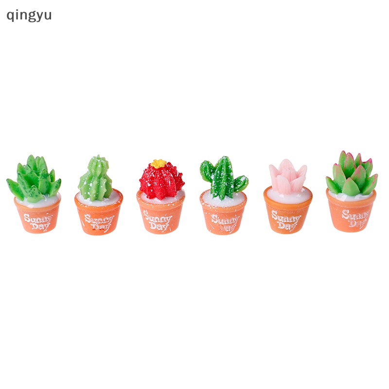 Bộ 5 Cây Xương Rồng Mini Bằng Nhựa Dùng Trang Trí DIY