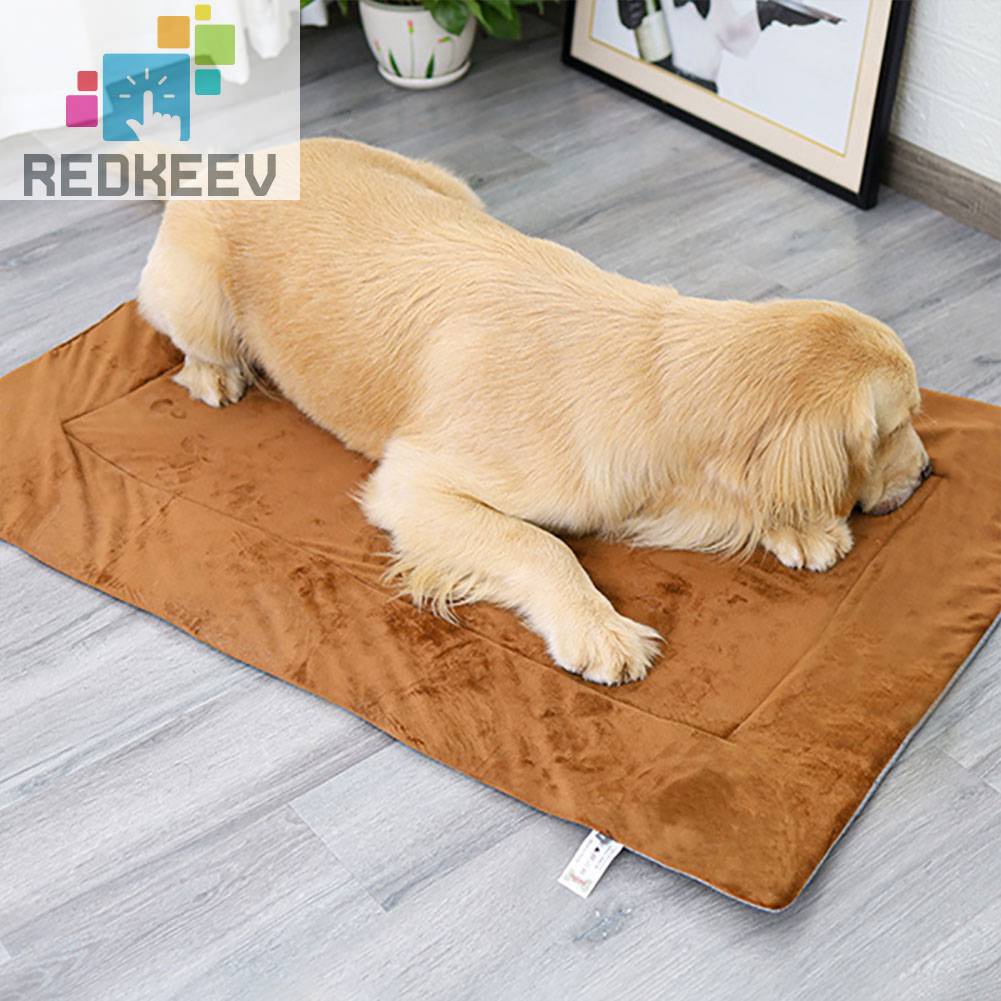 Đệm Ngủ MềM MạI ChốNg TrượT Cho Thú Cưng