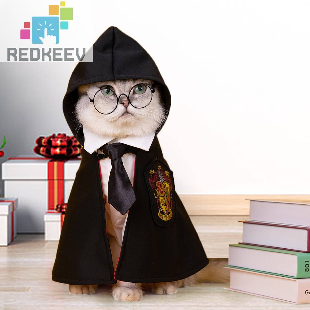 Kính Mát Gọng Nhựa Thoải Mái Cho Mèo Cưng