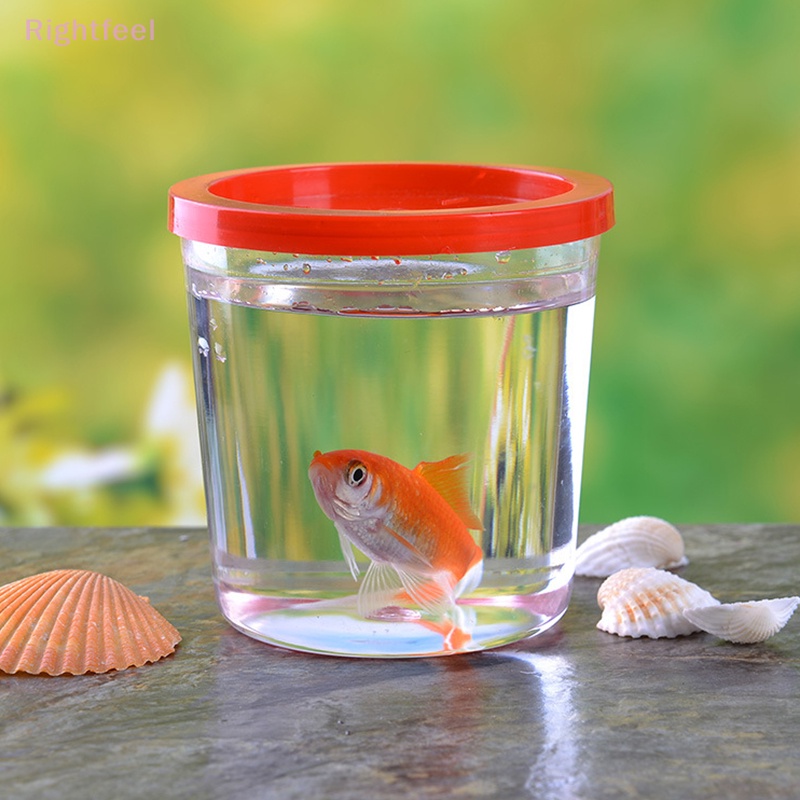 Set 10 Bình Đựng Nước Mini Bằng Nhựa Trong Suốt Hình Chú Rùa Có Nắp Và Dây Treo Tiện Dụng Mới