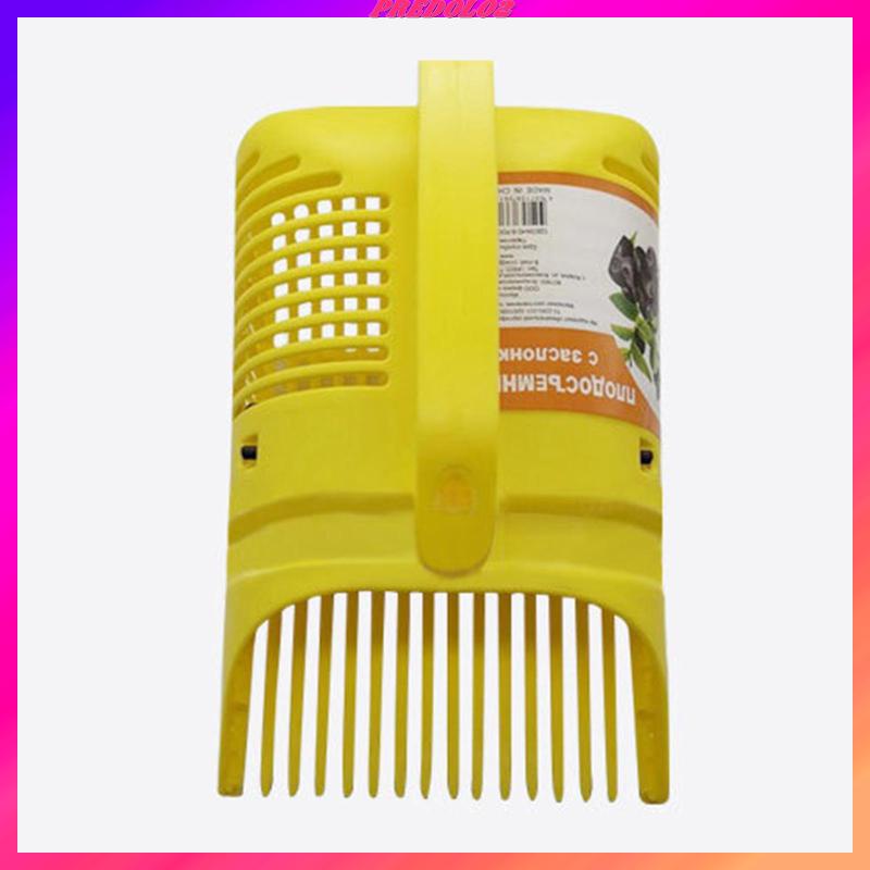 Dụng Cụ Gieo Hạt Việt Quất Tiện Dụng Cho Nhà Bếp