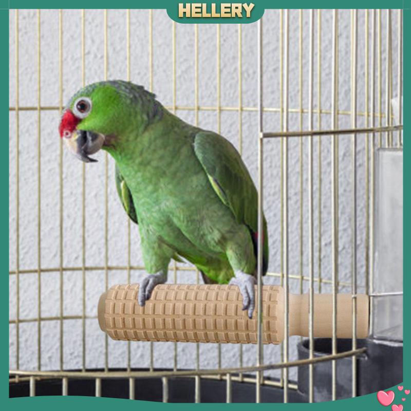 Cành Cây Leo Bằng Gỗ Đồ Chơi Cho Vẹt