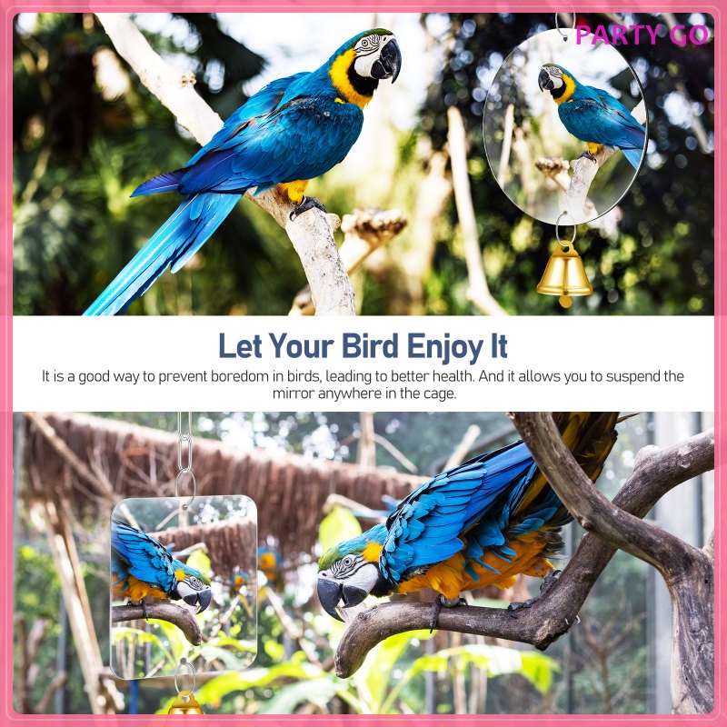 Bộ 2 Gương Treo Đồ Chơi Cho Vẹt Cưng