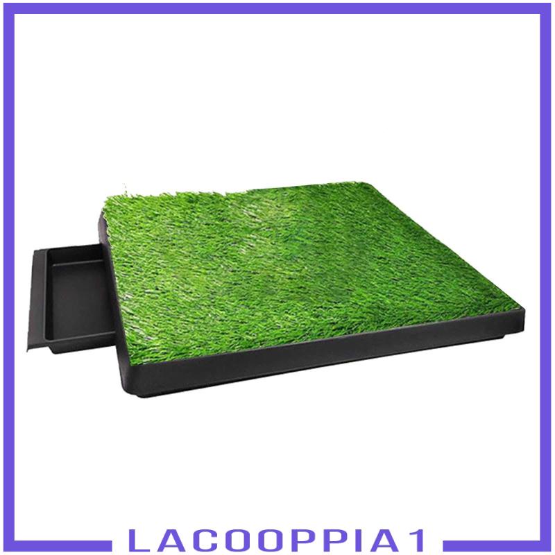 Đệm Cỏ Đi Vệ Sinh Cho Thú Cưng