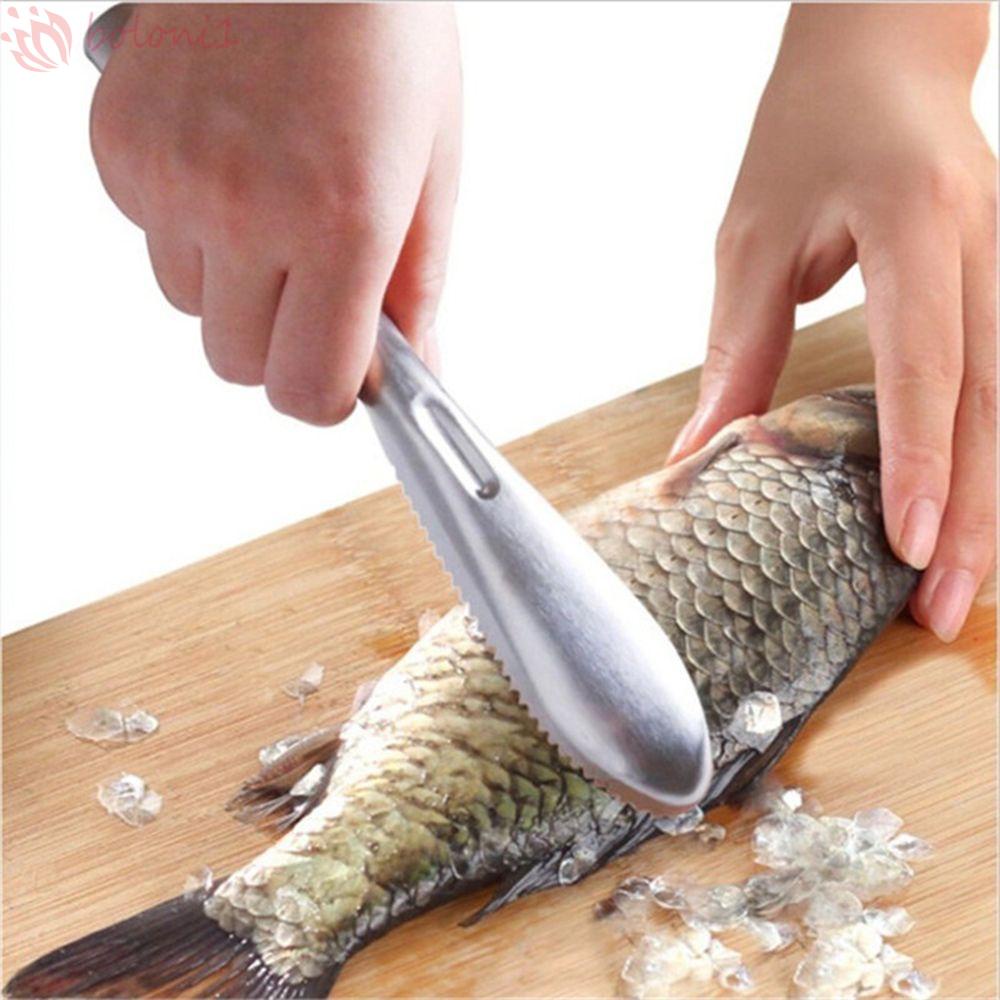 [COD] Dụng Cụ Đánh Vảy Cá Sáng Tạo Cho Nhà Bếp