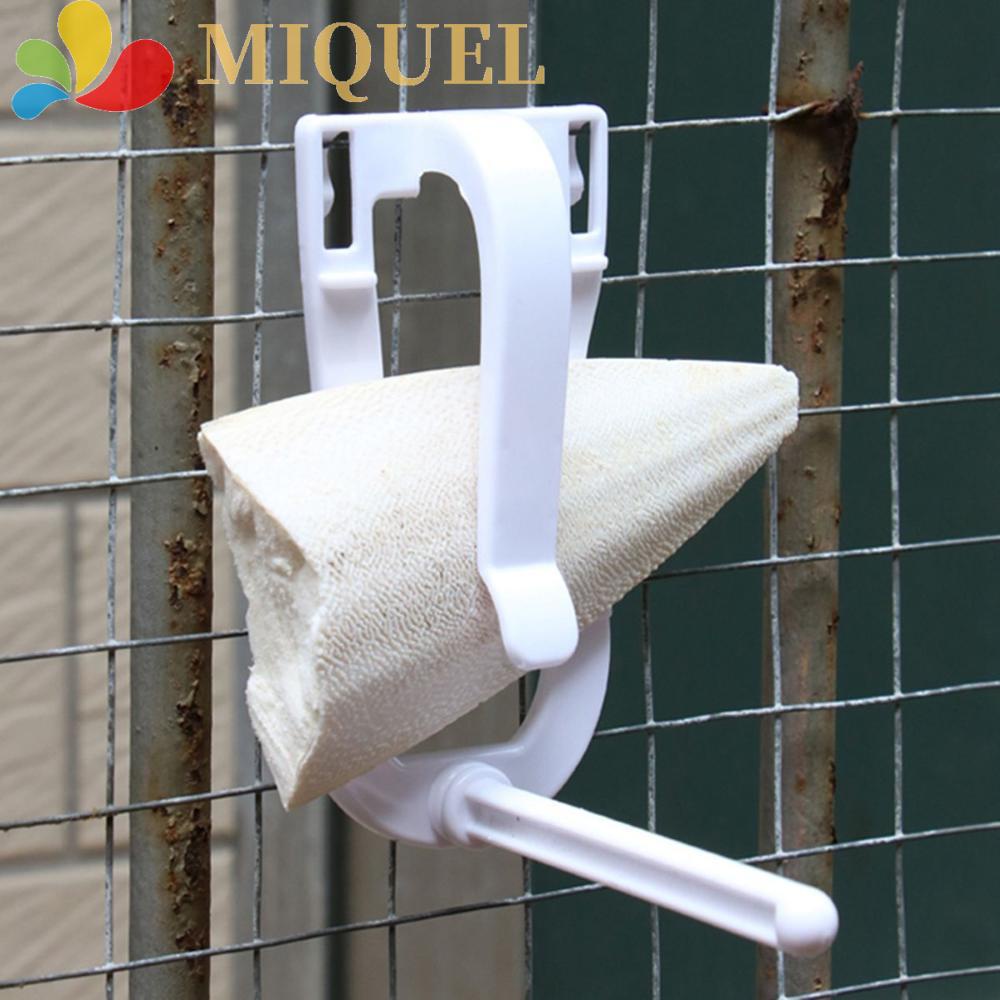 Dụng Cụ Đựng Thức Ăn Cho Chim Vẹt Bằng Nhựa Tiện Dụng