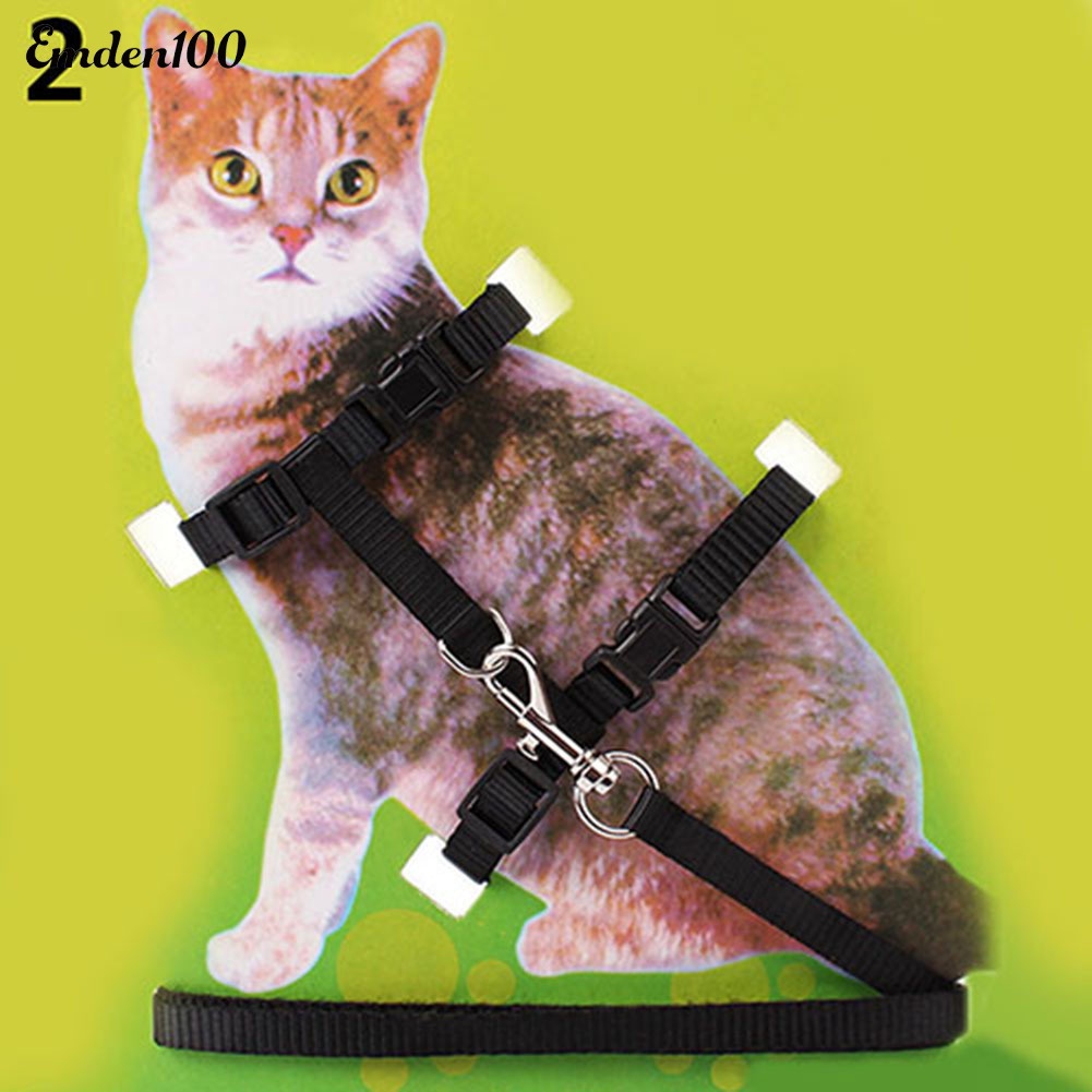 Dây Dắt Thú Cưng Đi Dạo Bằng Nylon