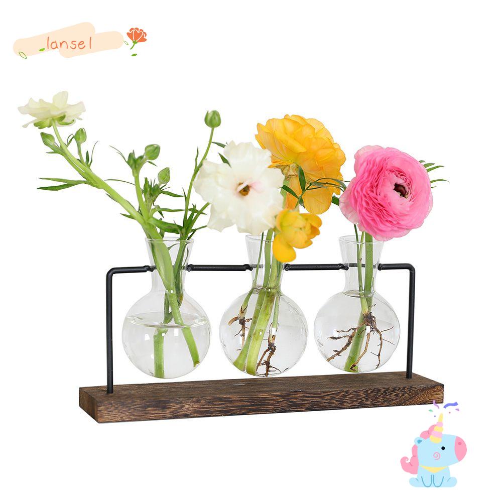 LANSEL Chậu Hoa Thủy Canh Để Bàn Bằng Sắt Phong Cách Bắc Âu