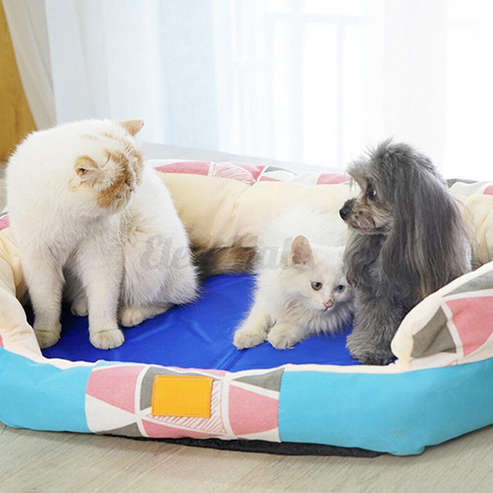 Tấm Ngủ MùA Hè MáT Mẻ Cho Thú Cưng A3D5 50 * 40cm