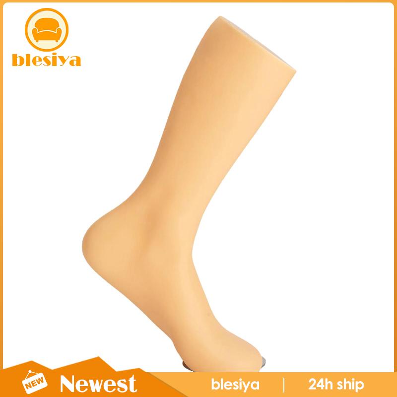 Chân Ma Nơ Canh Nam Trưng Bày Vớ Bền Bỉ