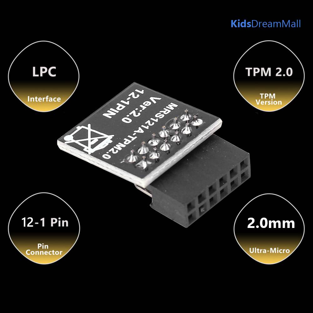 Mô Đun Thay Thế TPM 2.0 Cho Bo Mạch Chủ Gigabyte Win11