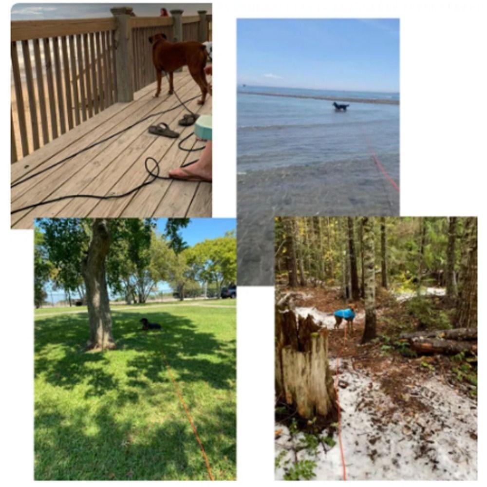 YIYU Dây Dắt Thú Cưng Đi Dạo Bằng Nylon Dài 5M / 10M / 15M 8mm Nhiều Màu Sắc Tiện Dụng