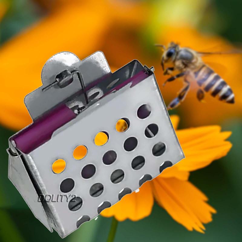 Kẹp Inox Giữ Ong Chúa Bền Bỉ Tiện Dụng