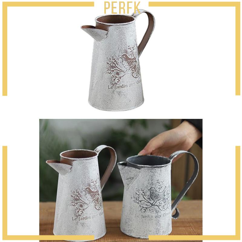 Bình Tưới Nước Kim Loại Phong Cách Cổ Điển