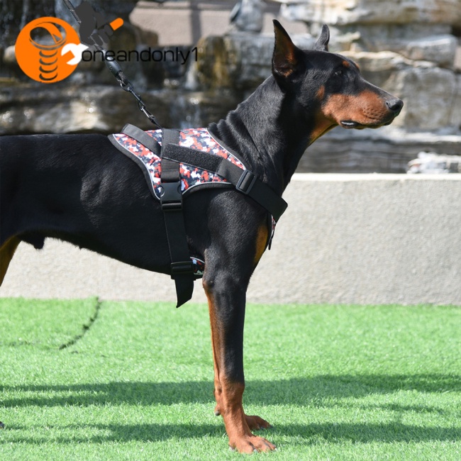 Dây Dắt Thú Cưng Đi Dạo K9 Phản Quang Cỡ Vừa / Lớn Tiện Dụng