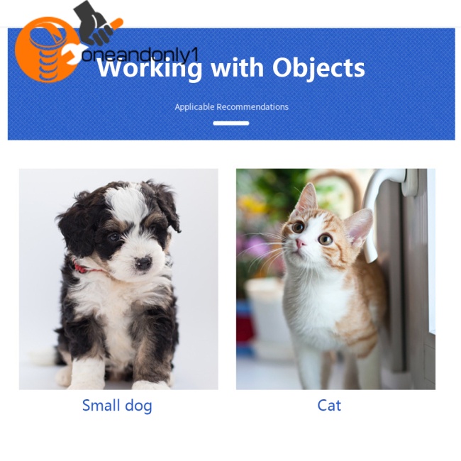 [COD] Cửa Ra Vào Tự Động Đóng Dễ Lắp Đặt An Toàn Cho Mèo