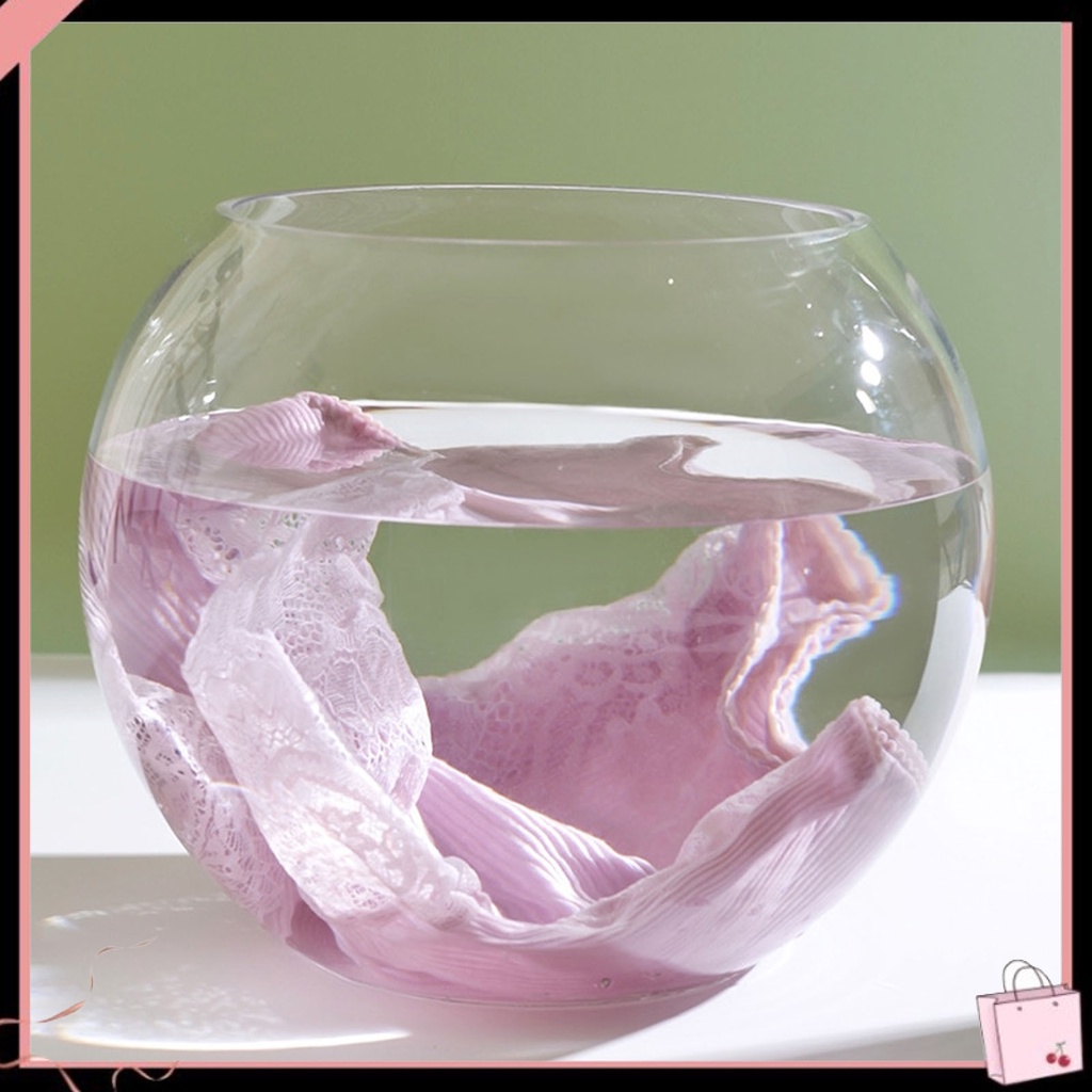 {Soltweter} Quần Lót Ren Nylon Lưng Cao Không Đường May Thoải Mái Thoáng Khí Mặc Bên Trong Dành Cho Bạn Nữ Mặc Khi Ngủ