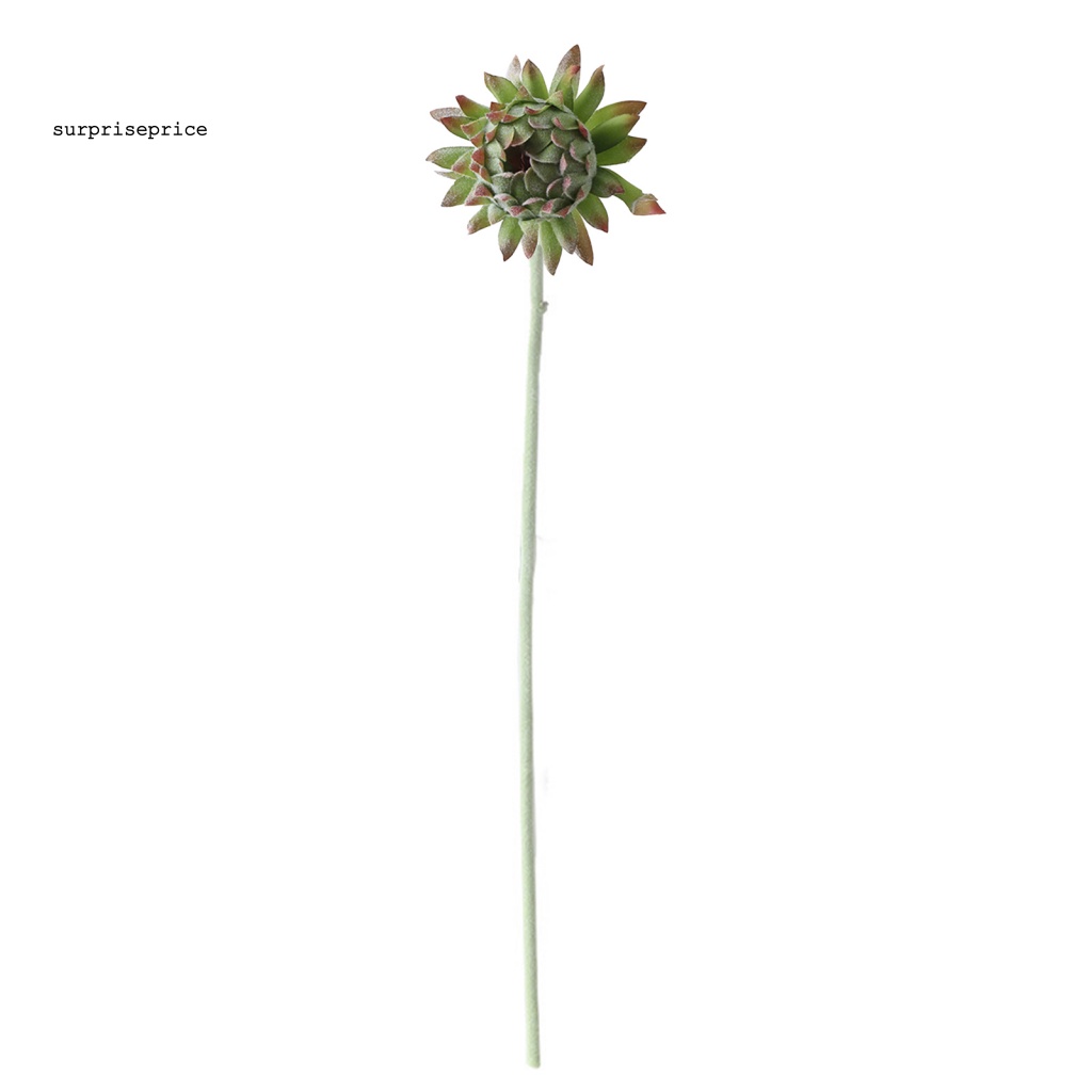 Hoa Giả Bằng Nhựa Không Phai Màu Thân Thiện Với Môi Trường Dùng Trang Trí Nhà Cửa