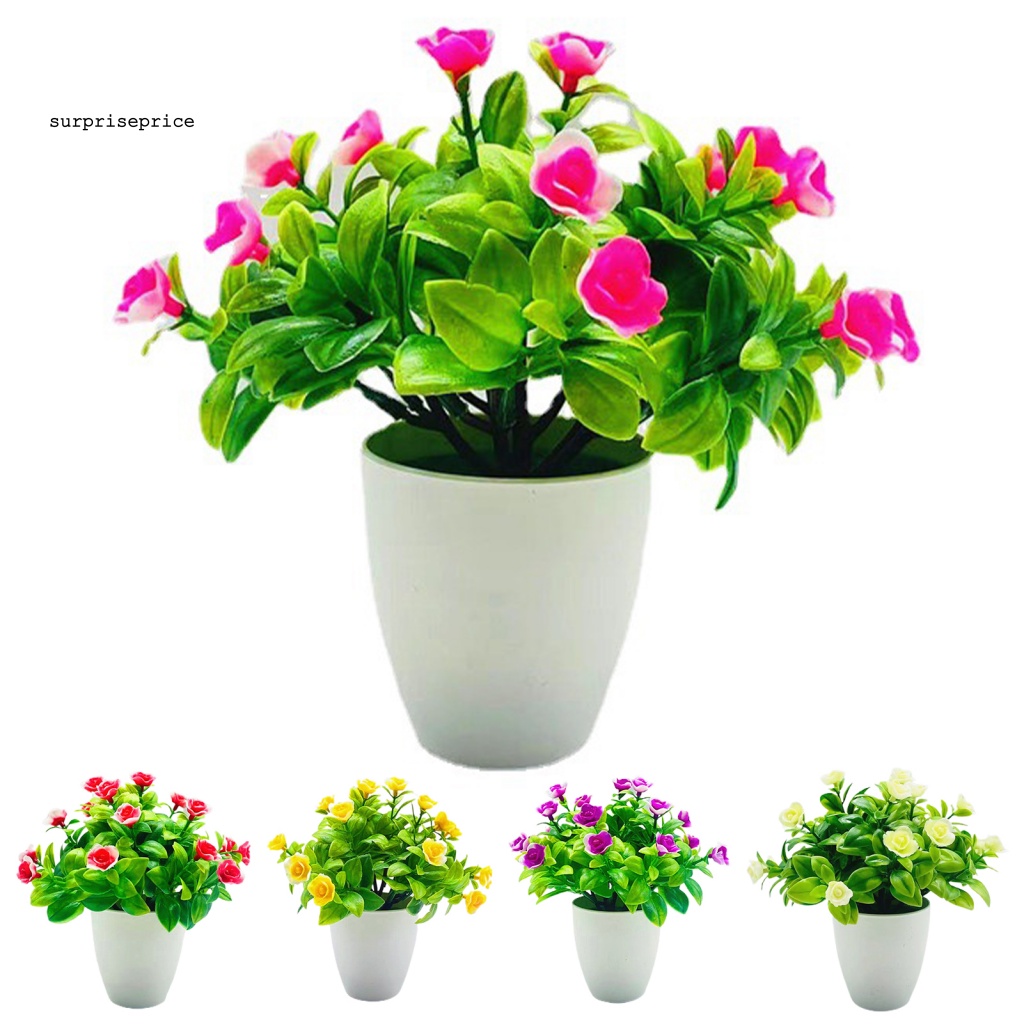 Chậu Cây Bonsai Nhân Tạo Bằng Nhựa Dễ Chăm Sóc Cho Sân Vườn