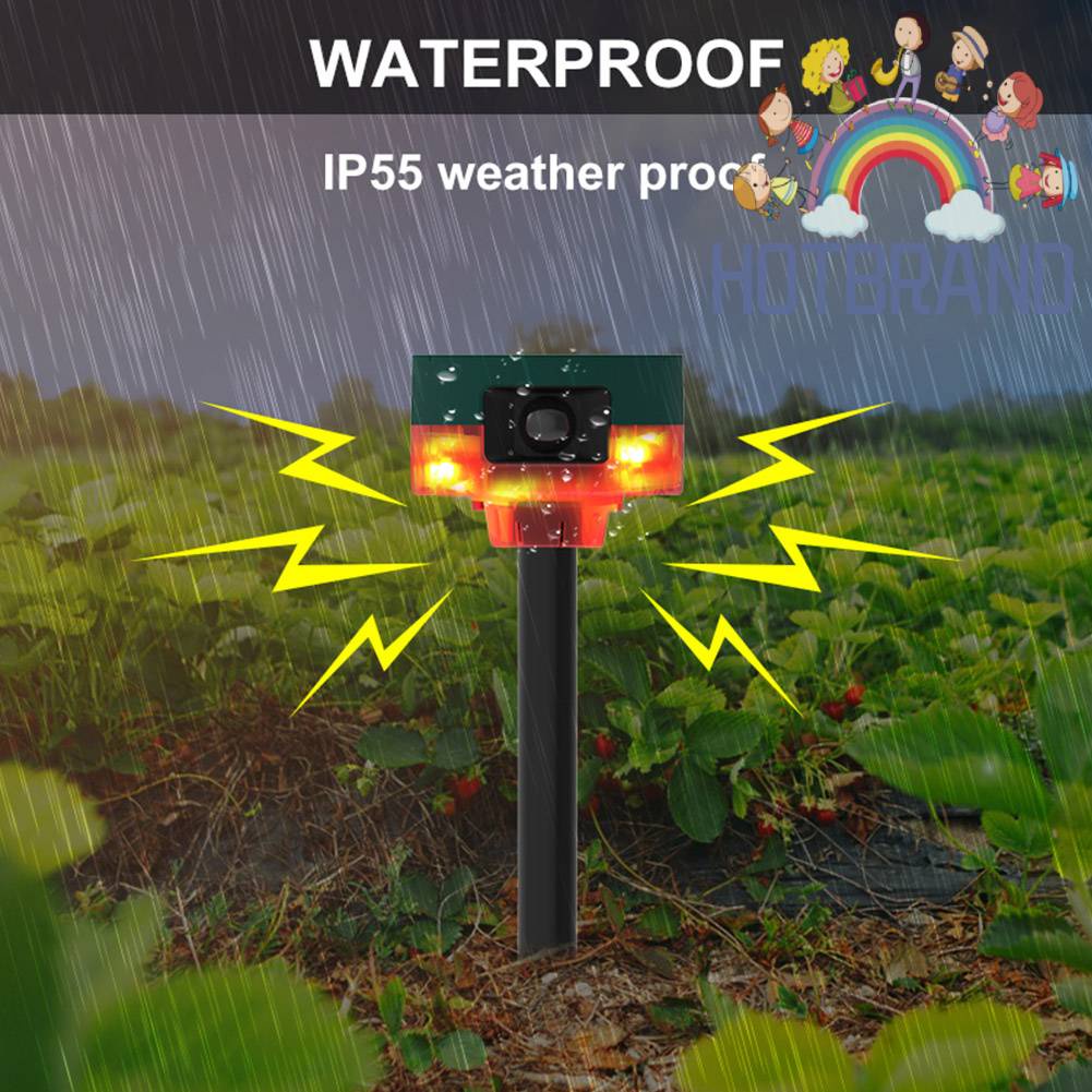 Thiết Bị Đuổi Chim Bằng Năng Lượng Mặt Trời Điều Khiển Từ Xa Không Dây 360