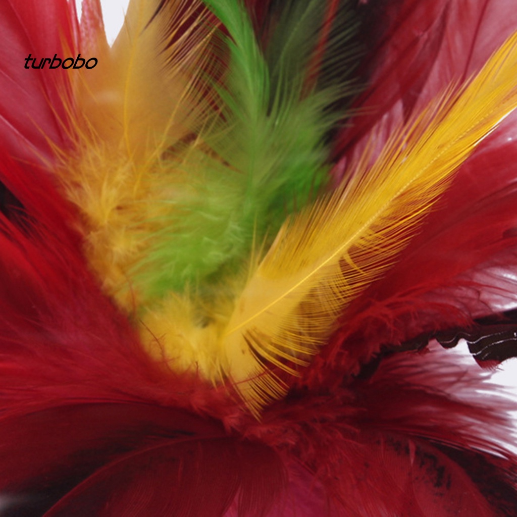 Lông Vũ Nhiều Màu Sắc 20cm Không Phai Màu Chống Rơi Vỡ Chống Đóng Hại Phong Cách Trung Hoa Cho Học Sinh