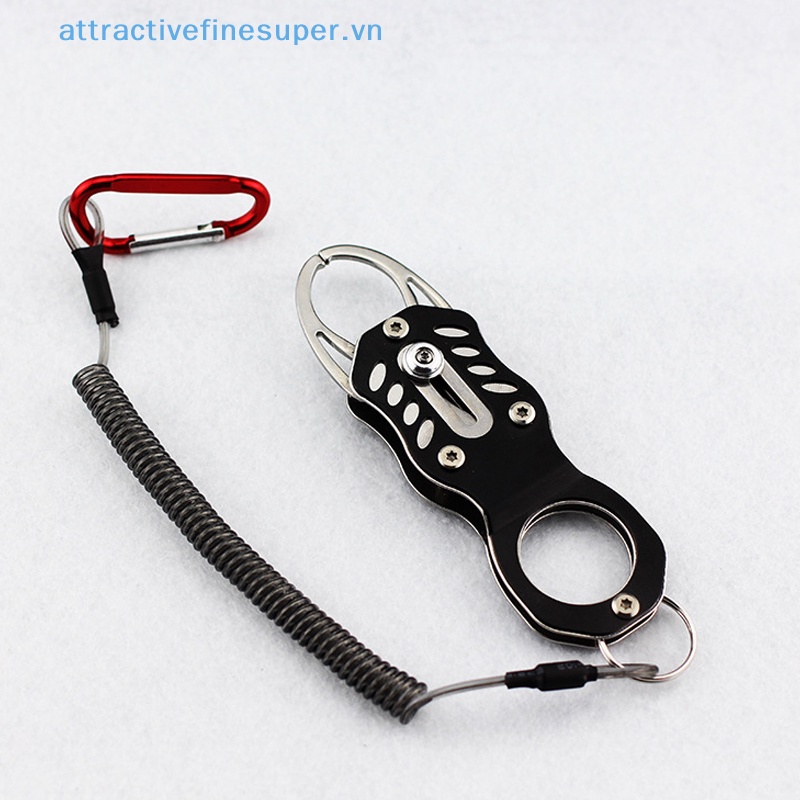 Afs Thiết Bị Kiểm Soát Lưỡi Câu Cá Mini Bằng Thép Không Gỉ