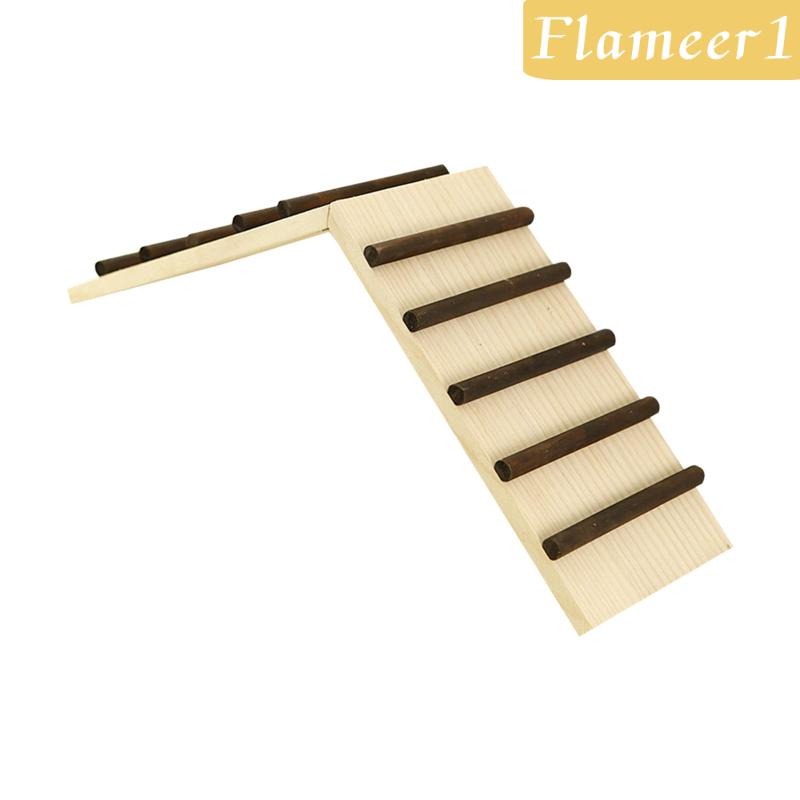 Thang Leo Đồ Chơi Cho Chuột Hamster