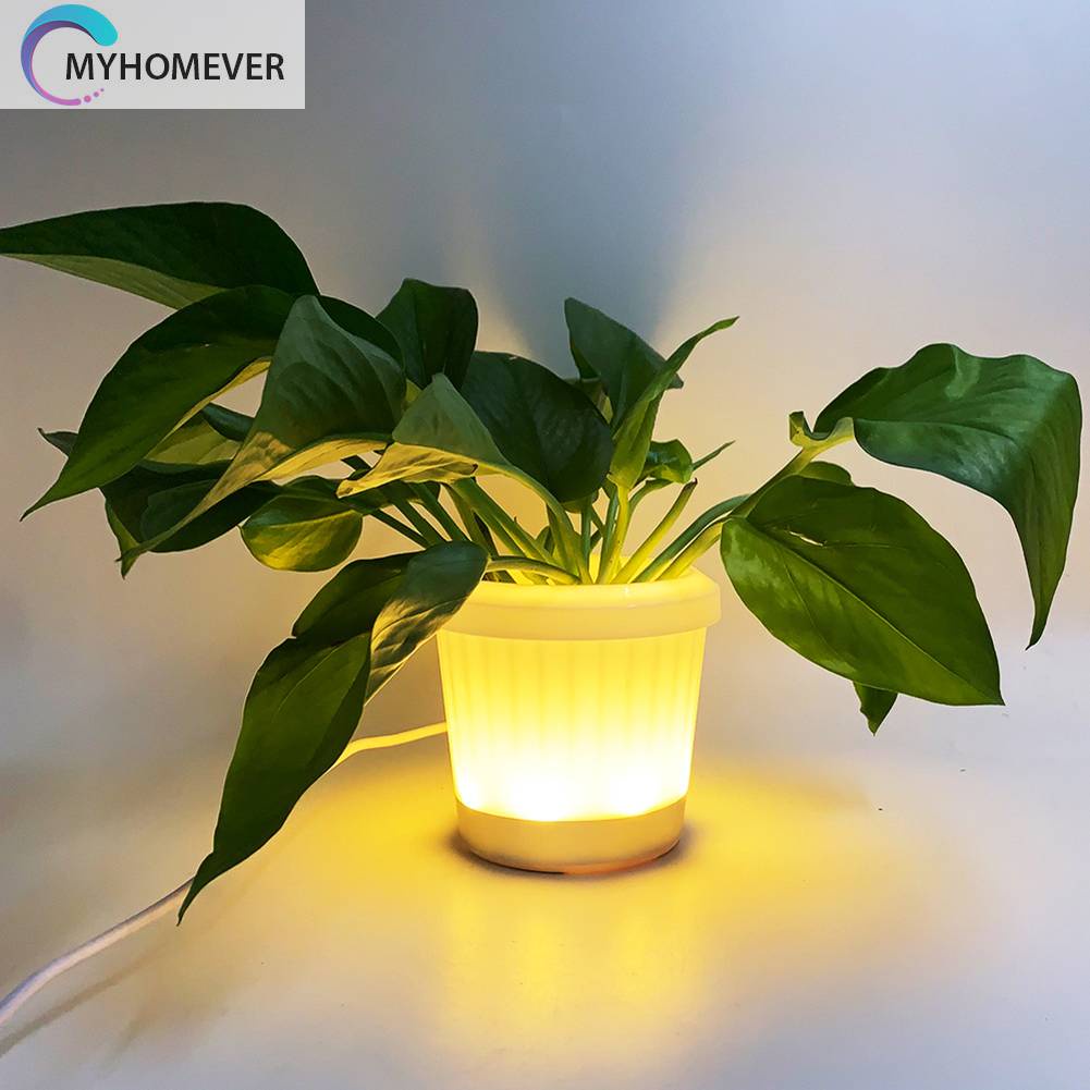 Đèn LED RGB Ánh Sáng Trắng Ấm Trang Trí Sân Vườn