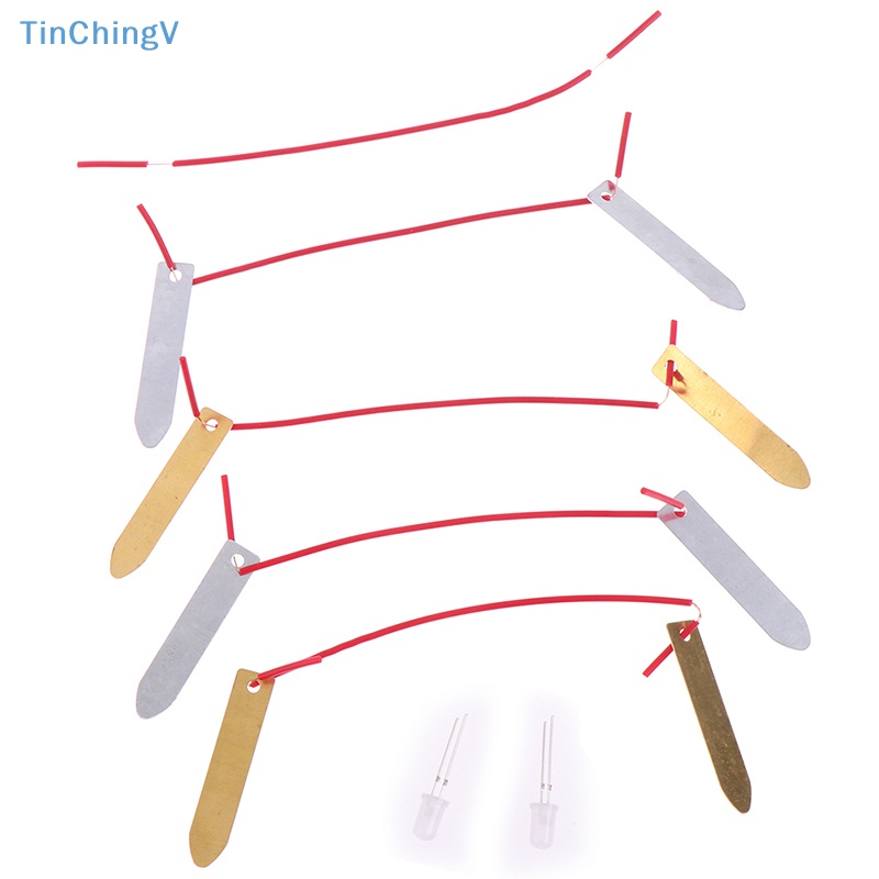 1 Bộ Đồ Chơi Thí Nghiệm Khoa Học Trái Cây Điện Tử Cho Bé