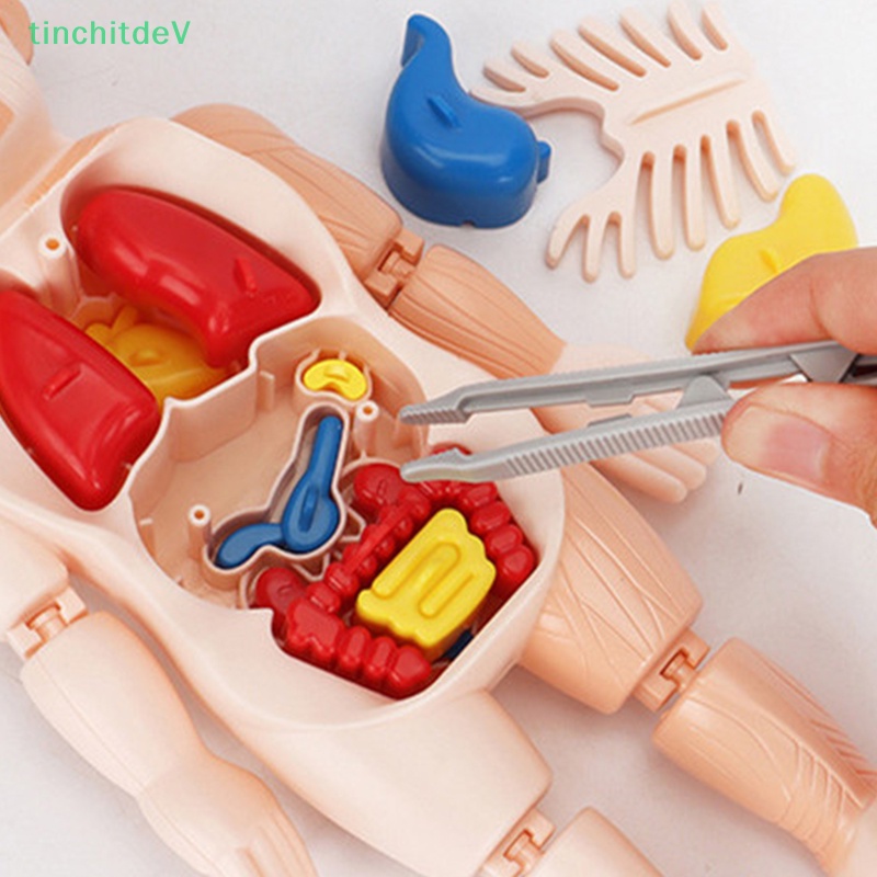 Mô Hình Đồ Chơi Lắp Ráp Cơ Thể Người 3D Giáo Dục Cho Bé