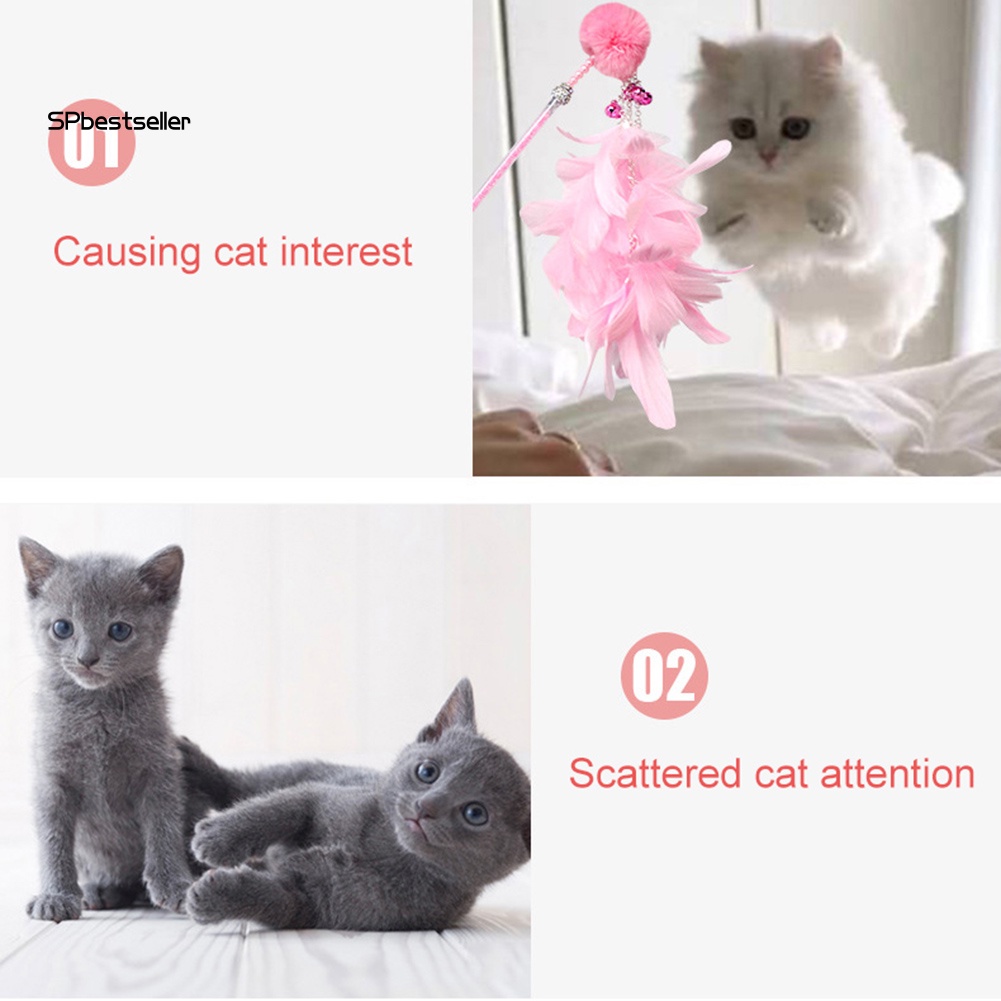 Gậy Gắn Lông Vũ Chọc Ghẹo Mèo Cưng Vui Nhộn