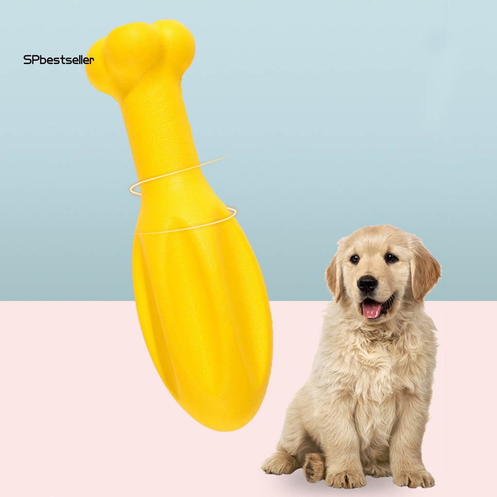 Đồ Chơi Gậy Mài Răng Chống Trầy Tương Tác Cho Thú Cưng