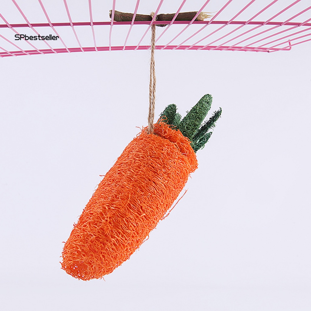 Đồ Chơi Nhai Gặm Hình Cà Rốt / Sóc / Thỏ Tự Nhiên Trọng Lượng Nhẹ