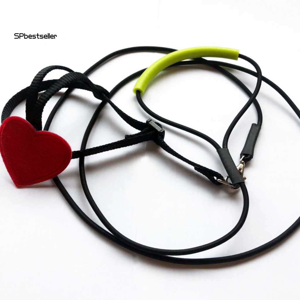 Dây Đai Huấn Luyện Chim Trong Nhà / Ngoài Trời Siêu Mềm