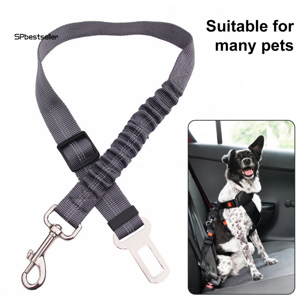 Dây Đai An Toàn Co Giãn Bằng Polyester Cho Thú Cưng