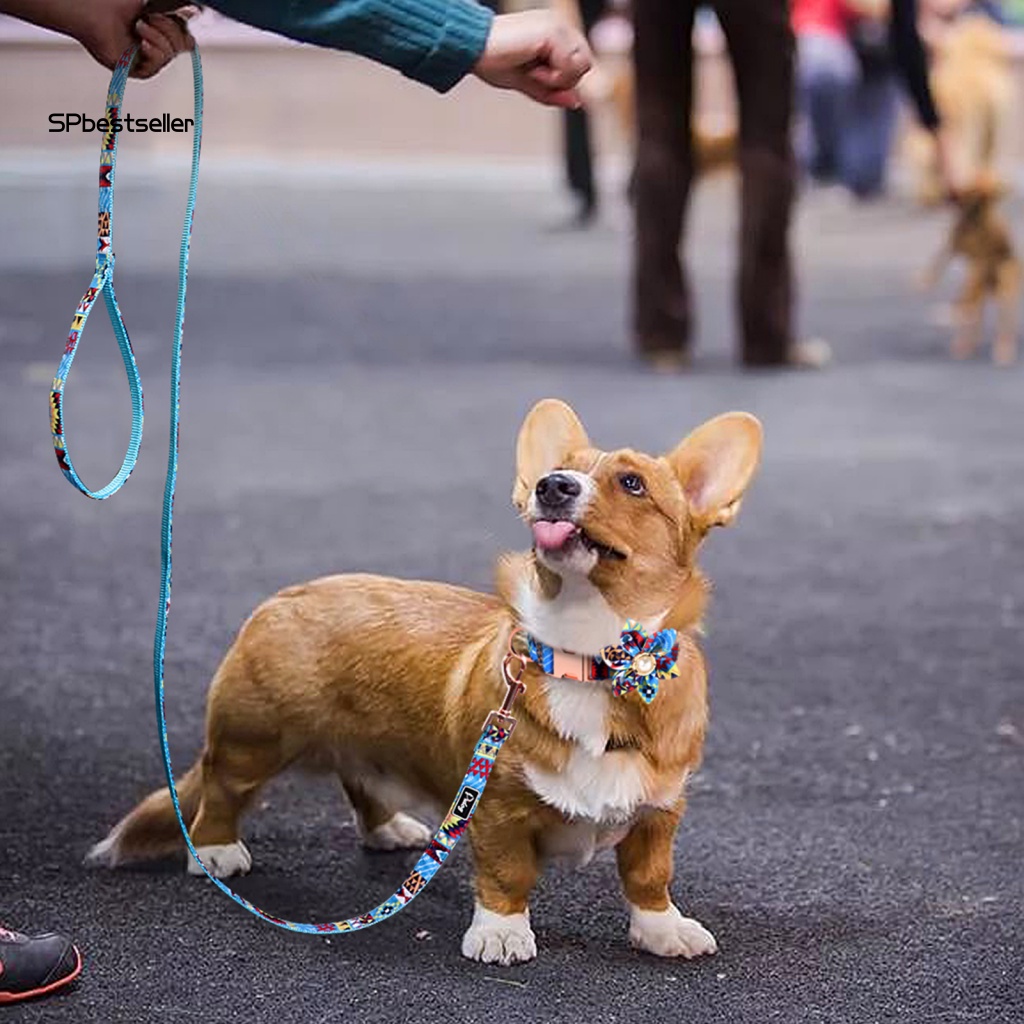 Dây Dắt Thú Cưng Đi Dạo Thân Thiện Với Môi Trường