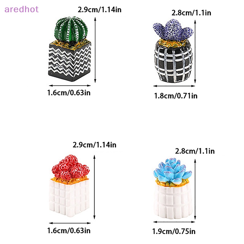 Cây Xương Rồng Mini Trang Trí Nhà Búp Bê 1 / 12 Mới
