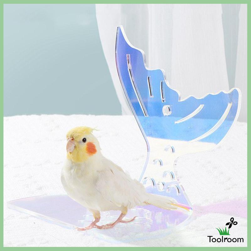 Thanh Đứng Bằng Acrylic Di Động Tiện Dụng Cho Chim / Vẹt Chơi Trong Nhà / Ngoài Trời
