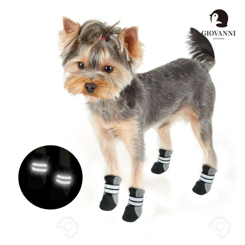 GIOVANNI Giày Boot Chống Thấm Nước Cho Thú Cưng