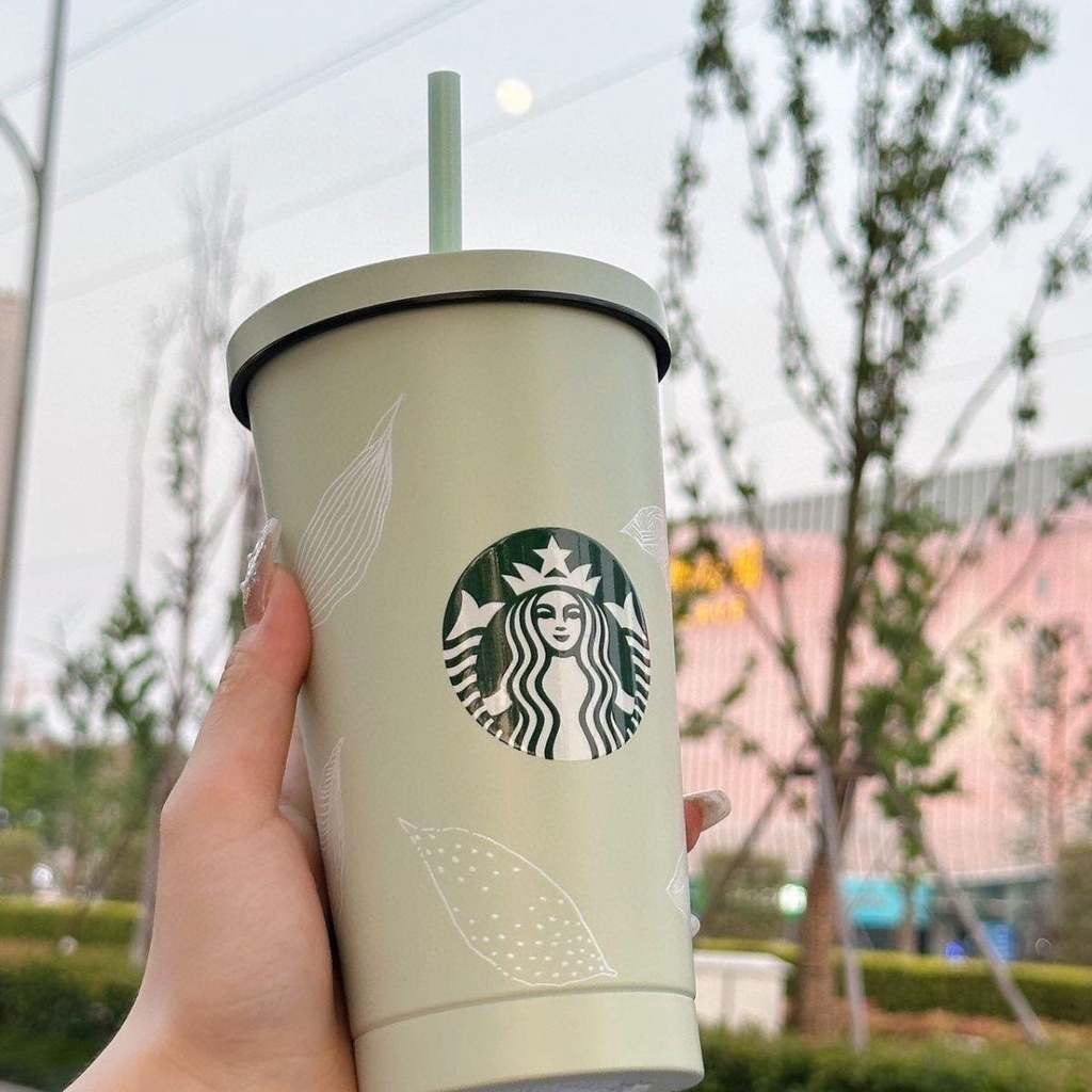 Ly giữ nhiệt STABUG thể tích 500ML/750ML có ống hút giữ nóng lạnh lên đến 12H màu xanh pastel