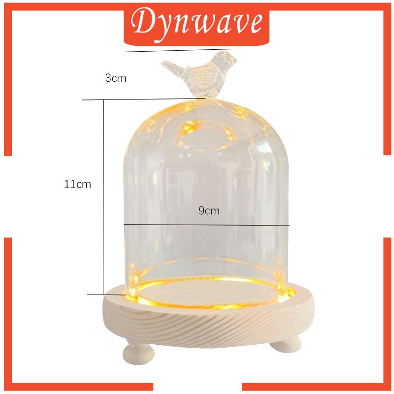 Hộp Thủy Tinh Trong Suốt Hình Mái Vòm Dùng Trưng Bày Hoa DIY Cho Ngày Valentine