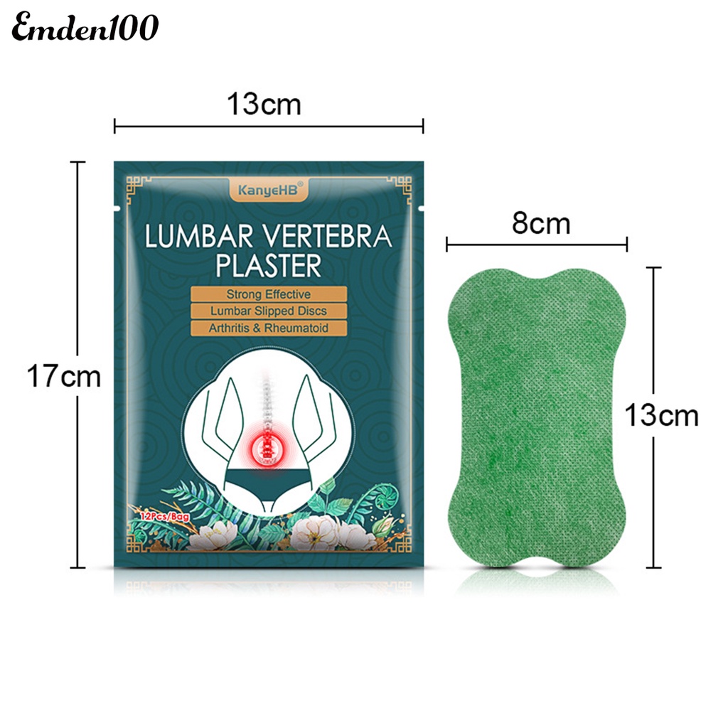 Set 12 Miếng Dán Giảm Đau Lưng Thành Phần Cây Ngải Đắng Tự Nhiên