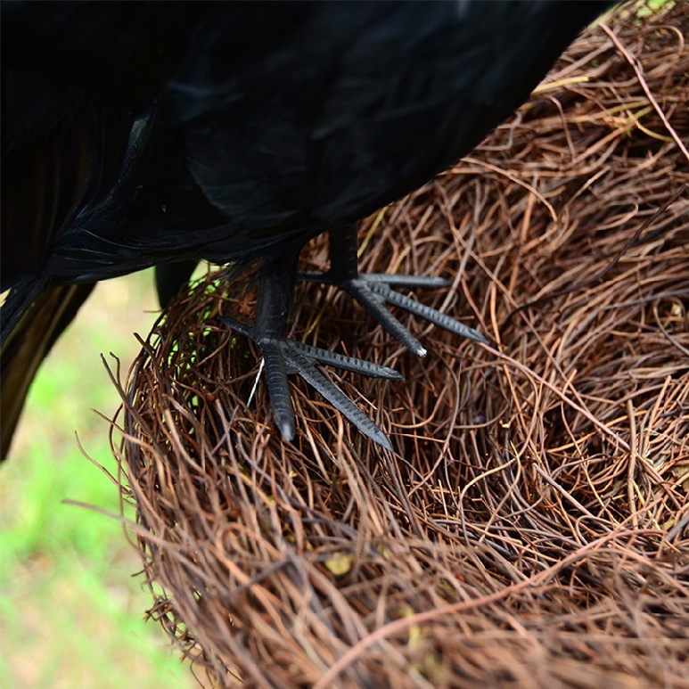 Halloween Artificial Crows Fake Ravens Realistic Black Feather Birds Party Prop