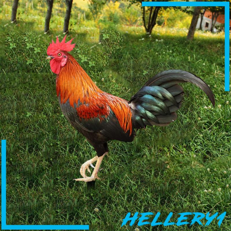 Tượng Đứng Hình Động Vật Trang Trí Lối Đi Sân Vườn