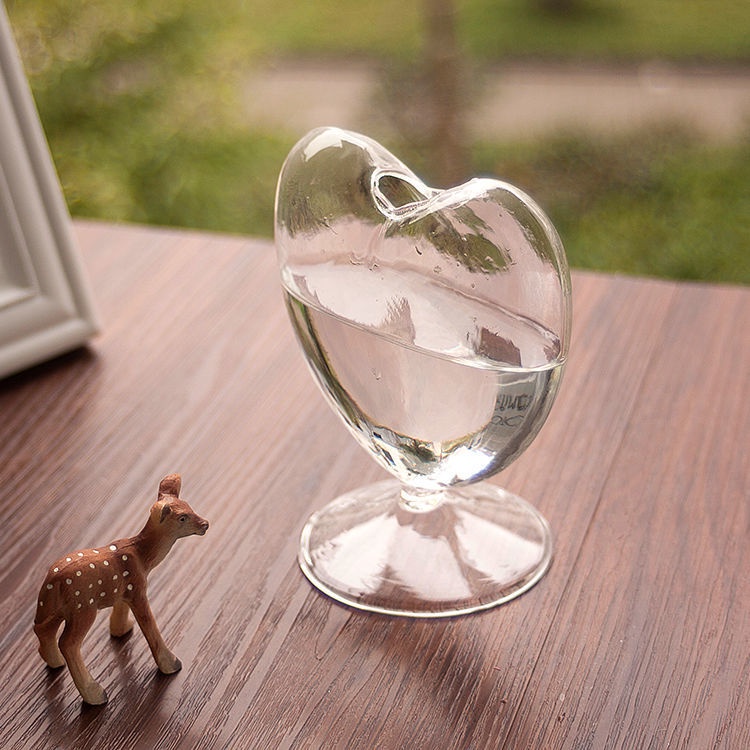 Kính Bình Hoa Bằng Thủy Tinh Thiết Kế Sáng Tạo Trang Trí Nhà Cửa/ Trí Sân Vườn