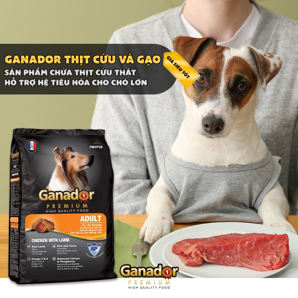 Thức ăn hạt cho chó lớn & chó con GANADOR và GANADOR PREMIUM 400gr đủ vị