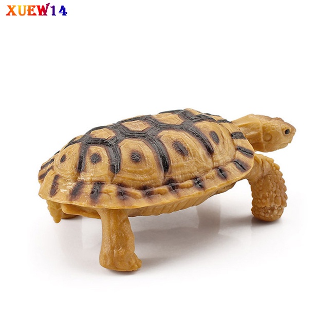Ng realistic turtle action figure sống động như thật mô hình bò sát lưỡng cư đồ trang trí cho trẻ em quà tặng trang trí nội thất