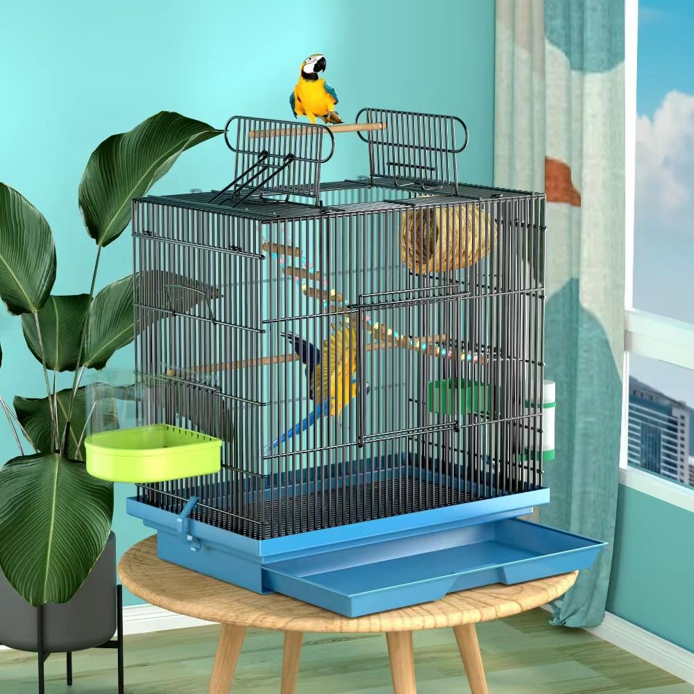 Cockatoo lồng vẹt lồng hộ gia đình không gian lớn cửa mở hàng đầu biệt thự sang trọng cockatoo thêu mắt ngọc trai cockatoo lồng leeo