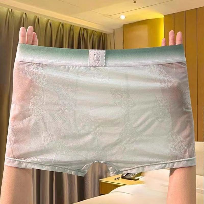 Quần Lót Lụa Phối Ren Trong Suốt Nhanh Khô Thoáng Khí Thời Trang Cho Nam
