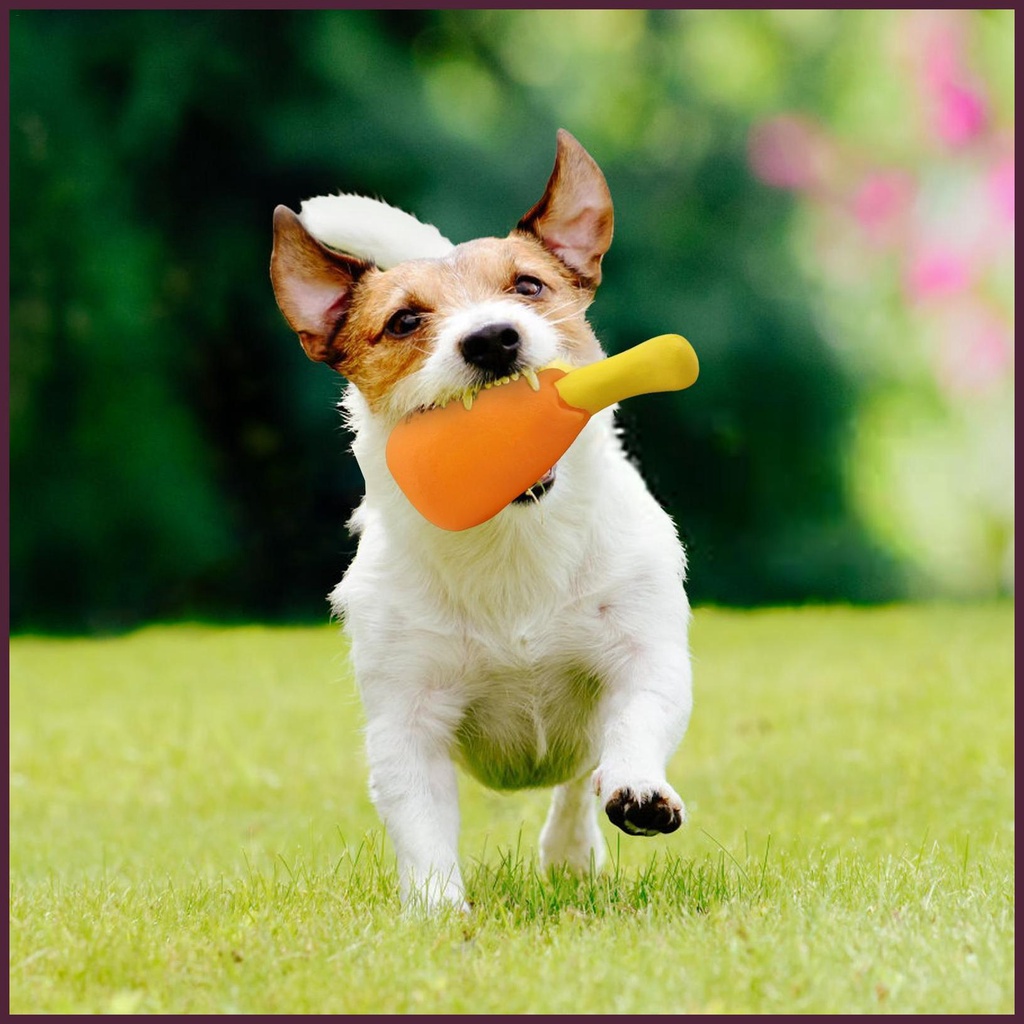 Bộ 4 Đồ Chơi Nhai Gặm Hình Đùi Gà Cho Thú Cưng